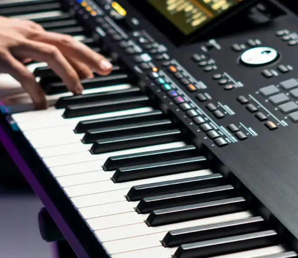PA-300 61 key professional arrangement keyboard (including gift package)