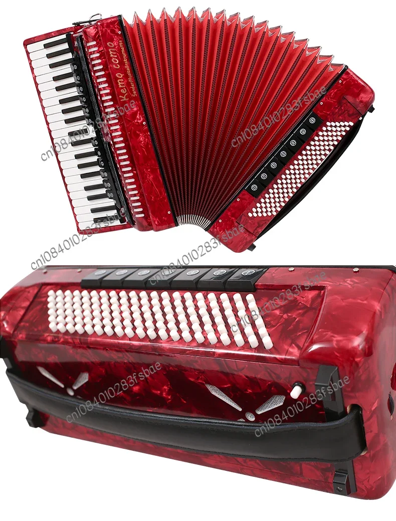 Accordion 60/96/120 Bass S Three Four Row Spring Adult and Children Beginner Accordion