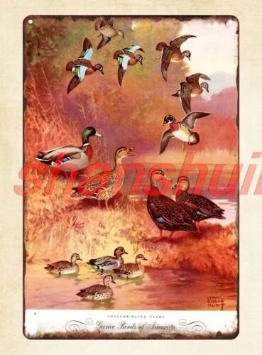 Shui 게임 amaerica의 새 얕은 물 오리 금속 주석 기호 독특한 벽 예술 1pc