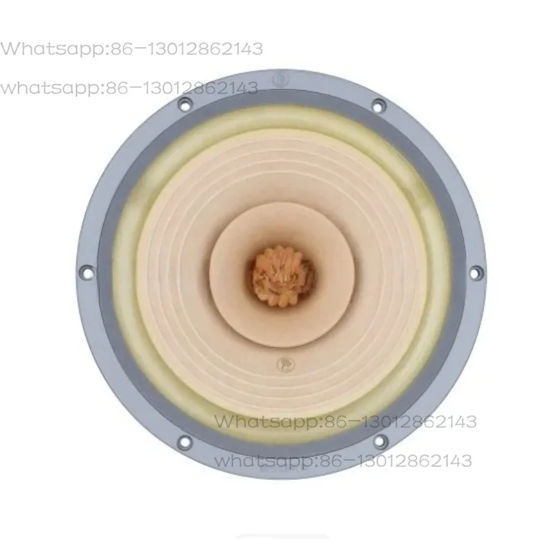 8 Inch  FAST-8 Full Range Speaker Unit, 8Ω 50-80W Wide Frequency 47-20kHz DIY Audio Speaker Driver