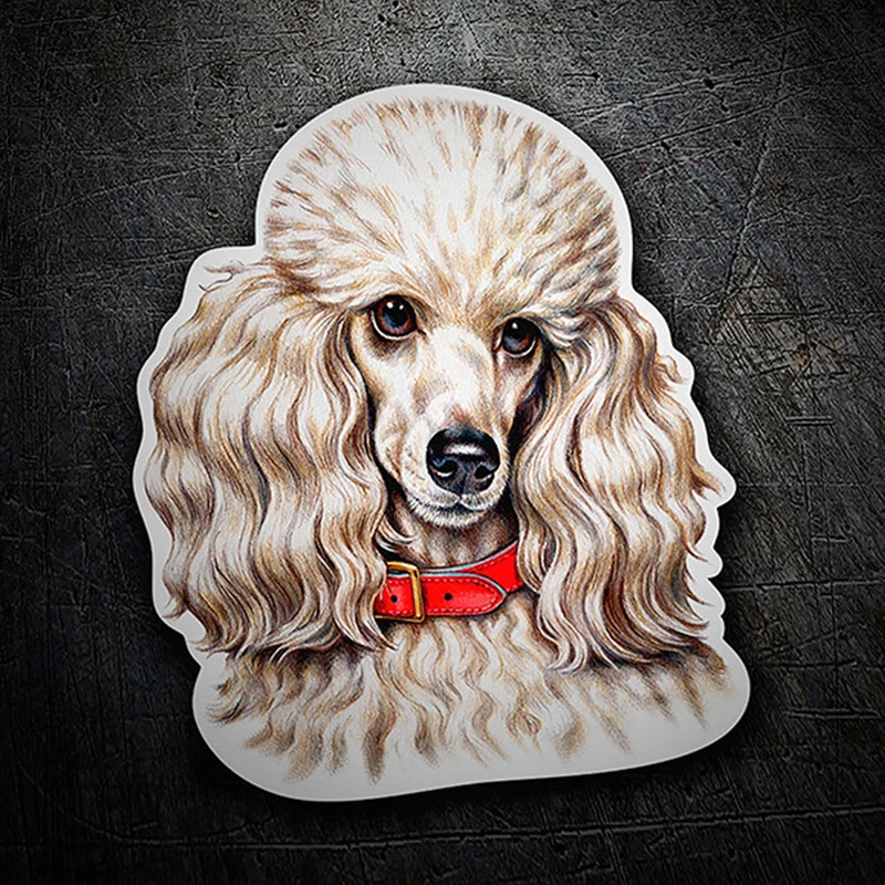 Z91# 13CM/17CM PVC Decal Poodle Dog Car Sticker Waterproof For Bumper Rear Window Laptop Refrigerator Toilet