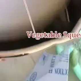 전기 야채 건조기 가정용 소형 배추 건조기