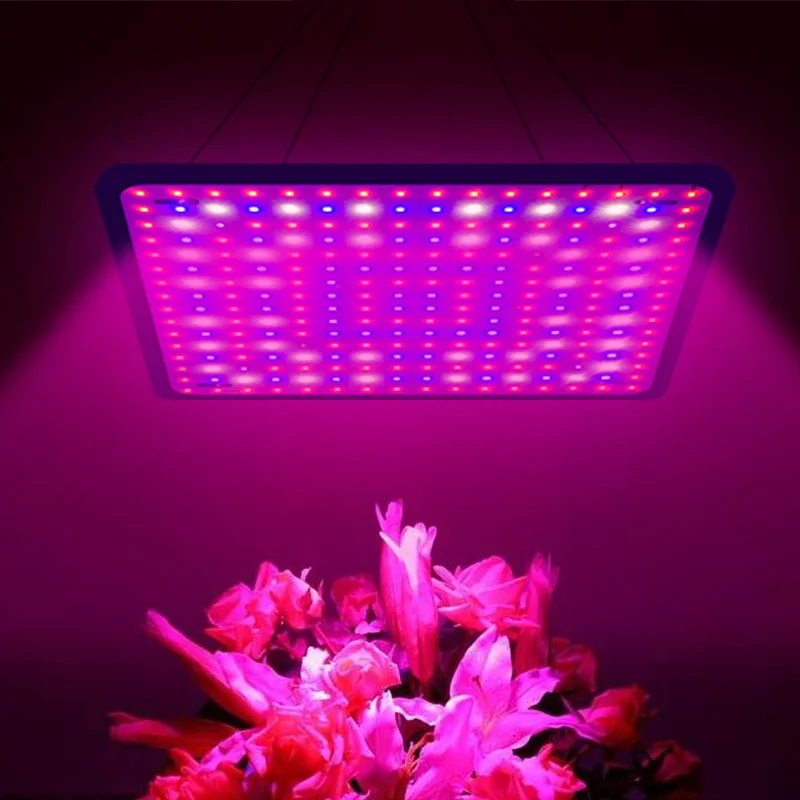 LED Full Spectrum Grow Light, Planta de interior Phyto Lâmpada para Estufa, Flor Vegetal Hidropônica Crescer Tenda, AC, 110V, 220V, 40W