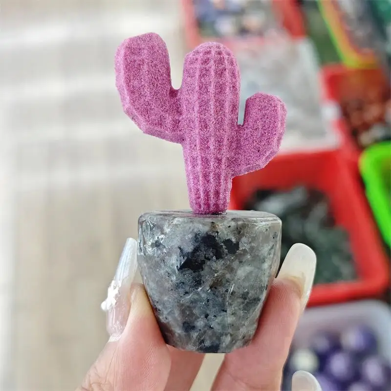 Natural Sapphire And Yooperlite Cactus Carving Crystal Love Healing Fengshui Gemstones HomeDecoration Holiday Gift 1PCS