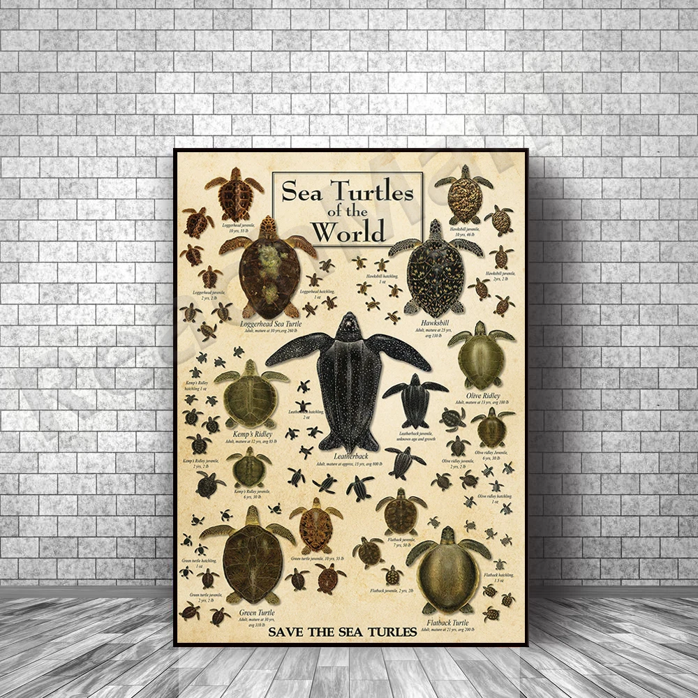 Earth Sky, Water Poster, World Turtle Frameless Poster, Sea Animals Wall Decor, Nursery and Beach Poster, Turtle Gift