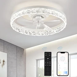 Modern LED Ceiling Fan Lmap Remote Control Smart Fan Lignting For Living Room Bedroom Restaurant Black/White Home Interior Light