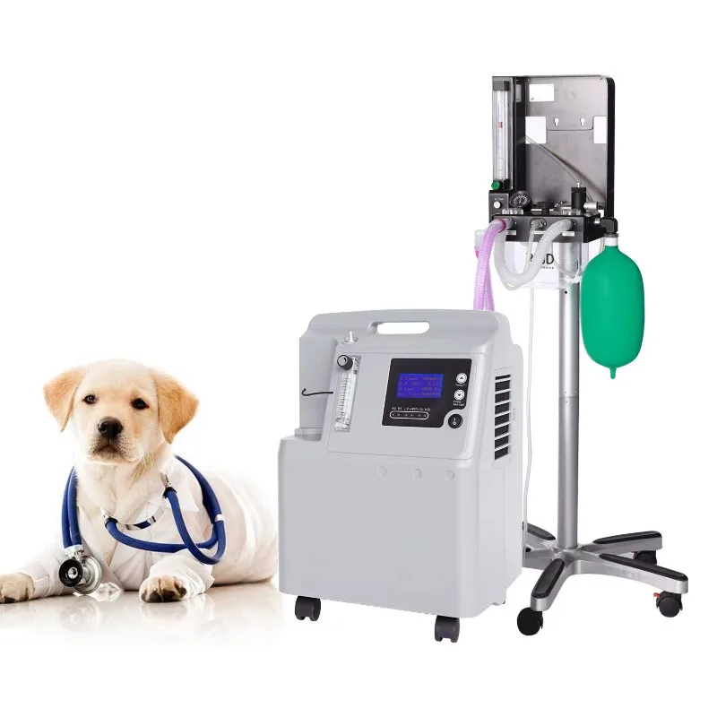 Vet Clinic Psa Port… - image