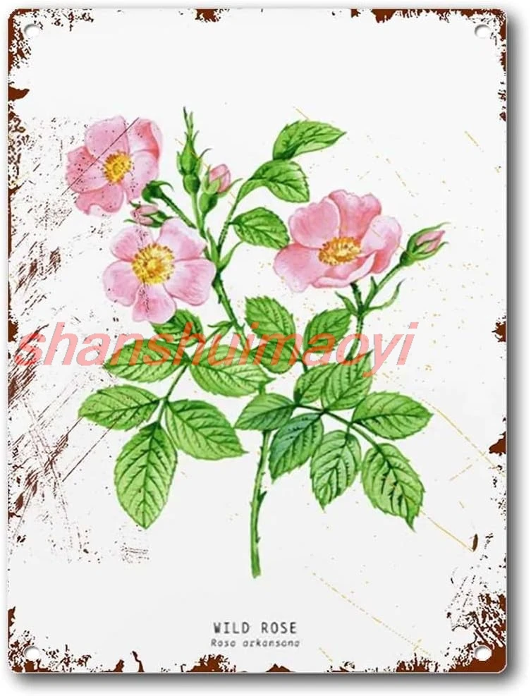 Tin Sign Wild Prairie Rose Watercolor Iowa and North Dakota Flower Plants Flower Home Wall Tin Sign Street Garage Cafe Bar  ADS