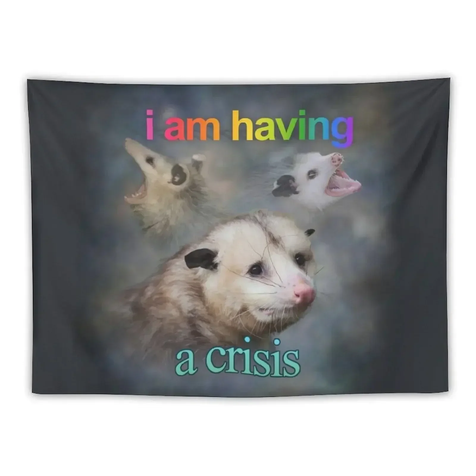 

I am having a crisis possum word art Tapestry Wall Decoration Bedroom Decor Aesthetic Wallpaper Tapestry