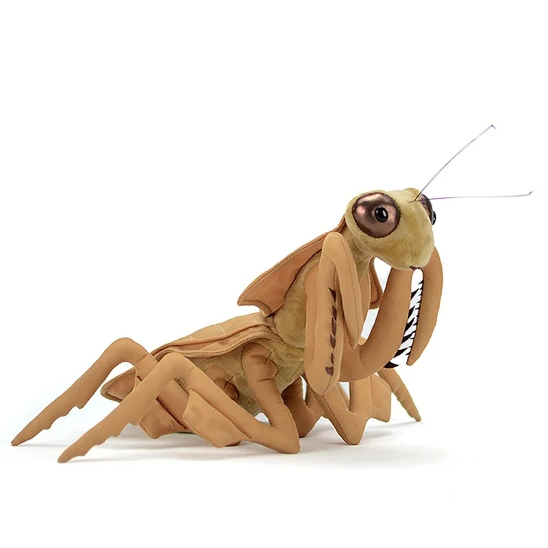 28 cm süße Blatt-Mantis Deroplatys Plüschtier echte Simulation Brancsikia Parablepharis weiche Puppe lebensechte Stofftiermodell Geschenk