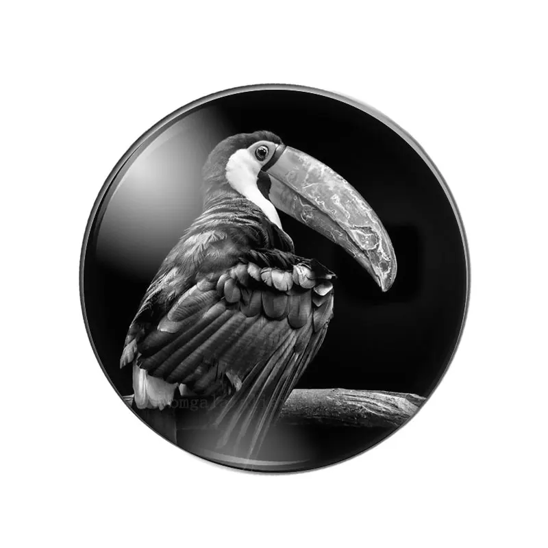 Fashion Black Animals Birds mixed 10pcs 8mm/10mm12mm/18mm/20mm/25mm Round photo glass cabochon demo flat back Making findings