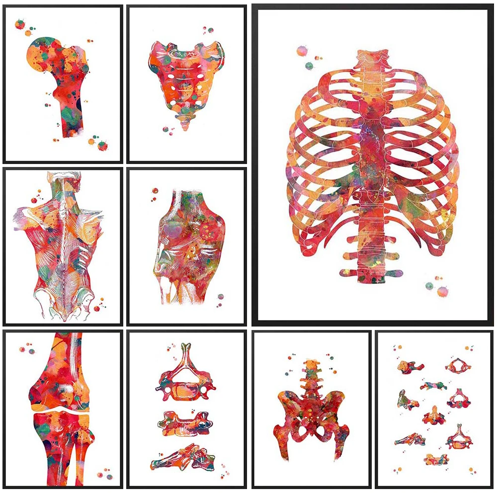 Ribs Bone Orthopedics Medicine Posters Nordic Poster Wall Art Canvas Painting Home Decor Wall Pictures For Living Room Unframed