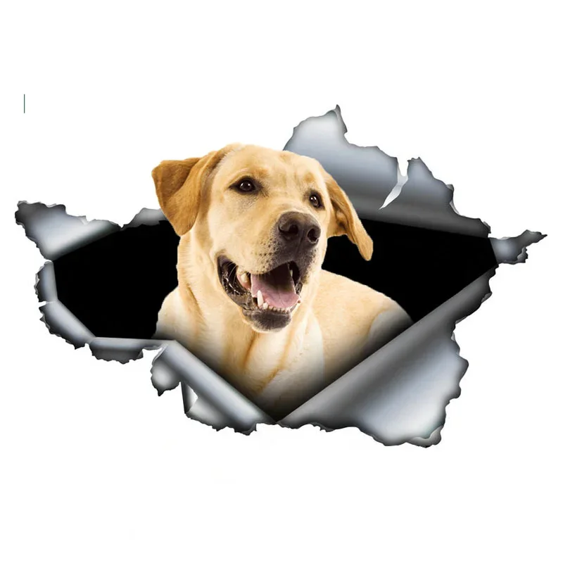 Naklejka samochodowa Śliczny żółty labrador retriever 3D rozdarty metalowy samochód naklejka winylowa zderzak bagażnika niestandardowa naklejka pcv 15cm