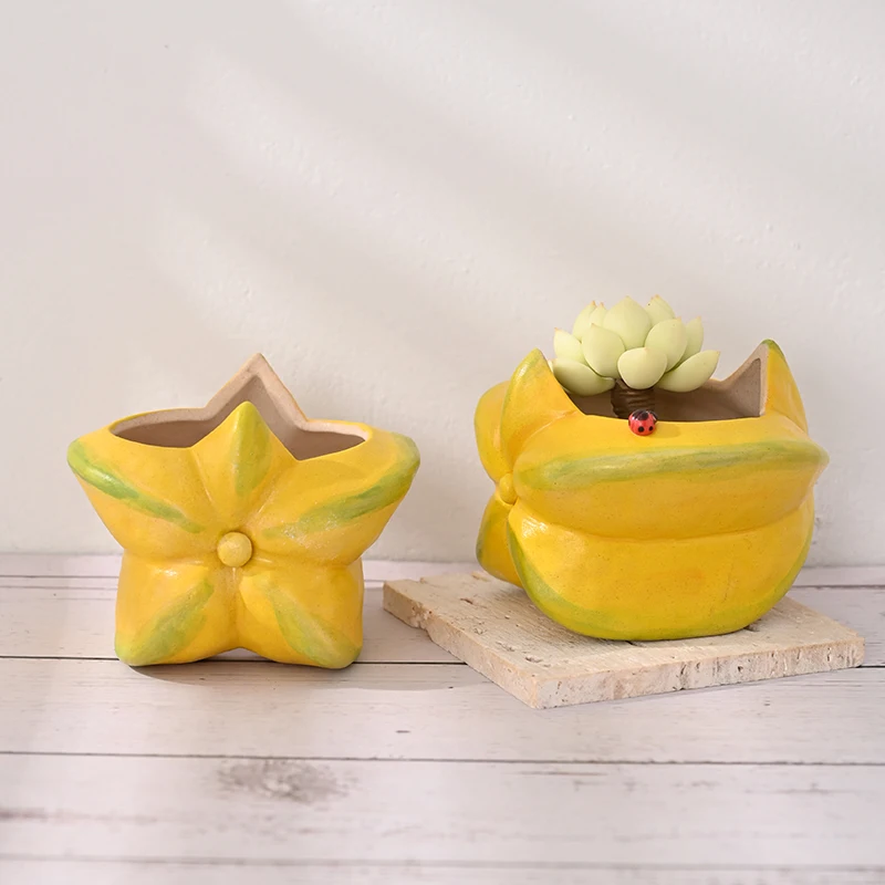 Original and creative home simple style balcony light luxury hand-painted star fruit ceramic succulent flower pot