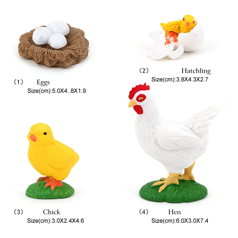 Figurines de poussin réalistes, modèle de subvention de la vie animale, jouets pour enfants, croissance de la vie animale, 4 pièces