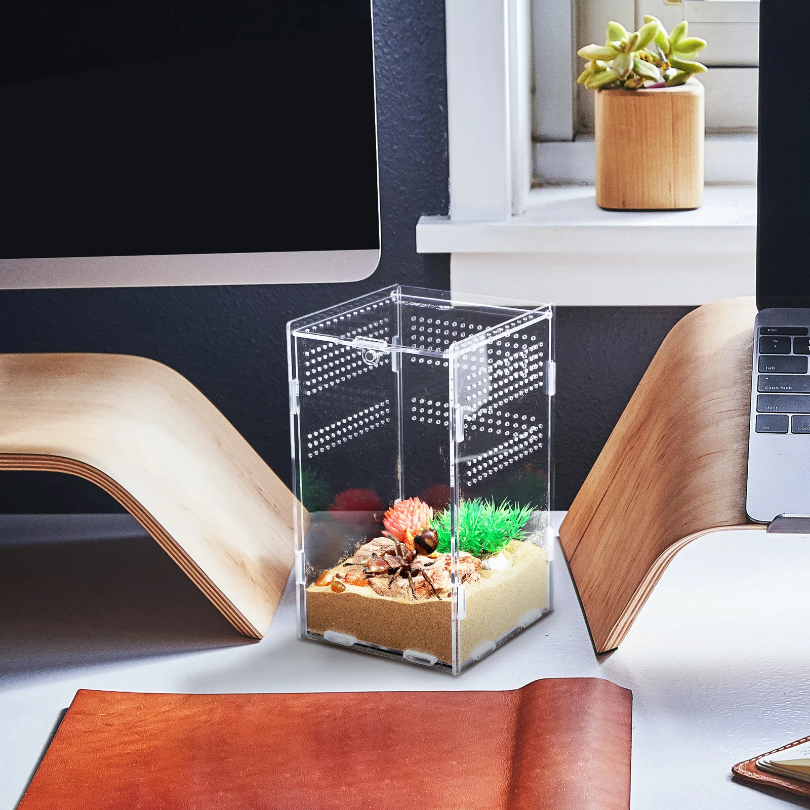 

Easy Assembly Reptile Enclosure Transparent Spider Terrarium Compact Lightweight Tarantula Turtle Box Snake Enclosure Sturdy