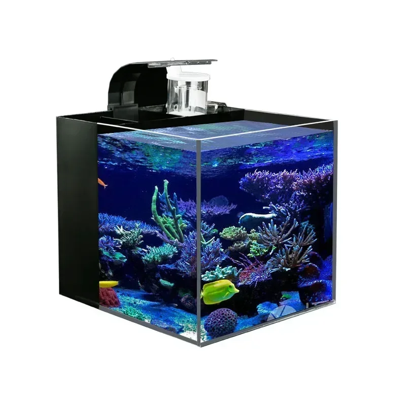 Süper Beyaz Oturma Odası Deniz Suyu Tam Set Arka Filtre Kendini Dolaşım Masaüstü Değiştirme-Ücretsiz Akvaryum Küçük Deniz Balık Tankı