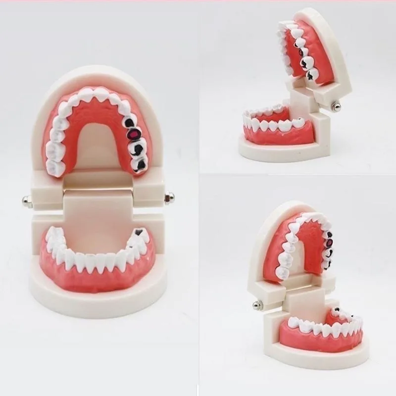 

1 PC Dental Teeth Model Plastic 28 Standard Teaching Model Education Demo For Dentist Students Studying Dental Equiment