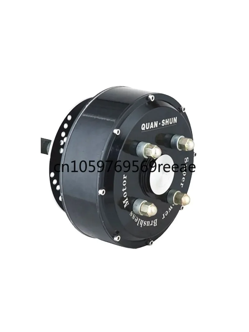 Qs 205 48v-96V 1500w To 3000w Electric Wheel Hub Motor for Electric Car