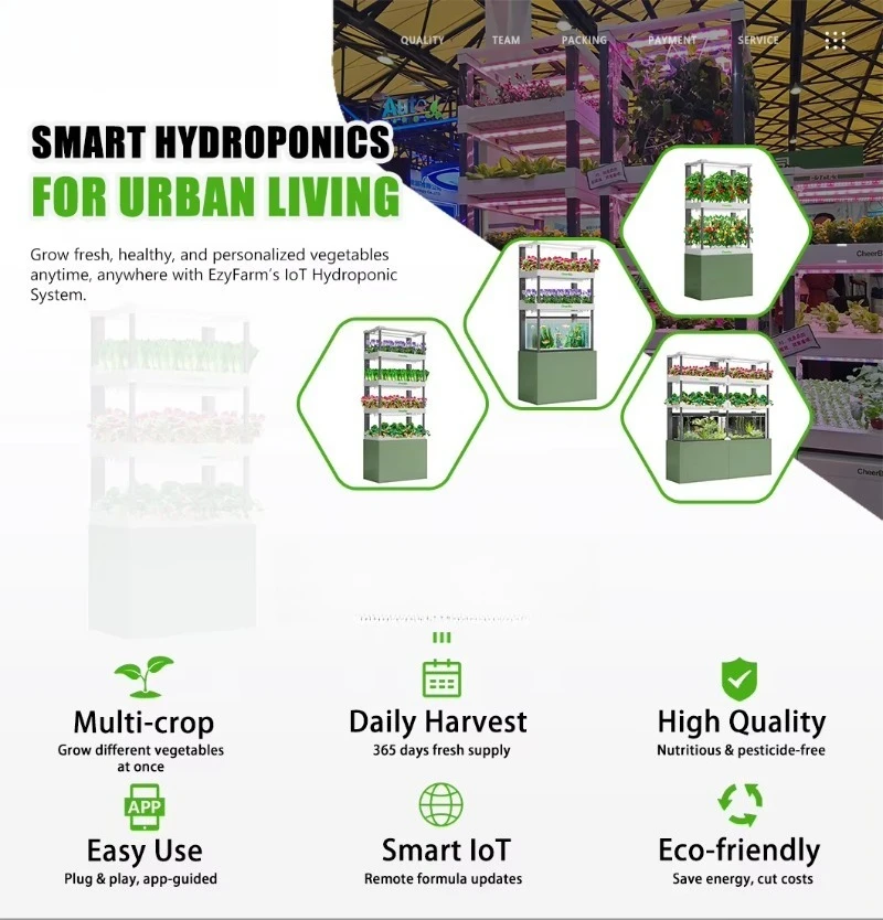 مجموعة الزراعة المائية الداخلية الصغيرة للأعشاب والخس والفراولة