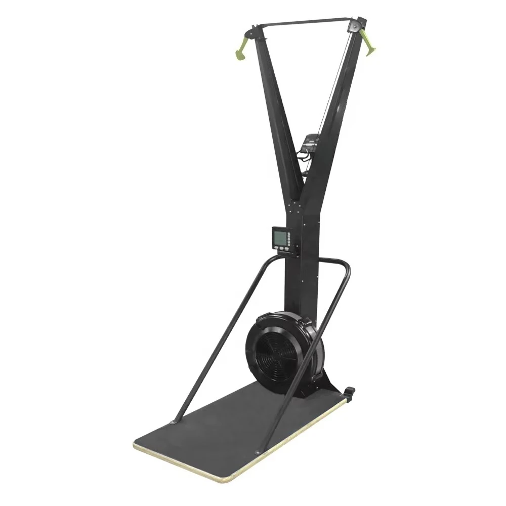 Direct Indoor Cardio Ski Rower Machine Fan Air Resistance Exercise LED Display 160kg Capacity Metal Construction