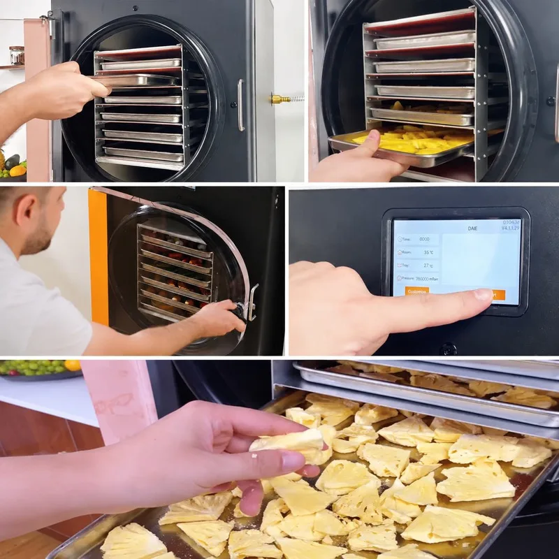 Vacuum Freeze-drying Machine For Food, Medicinal Herbs, Cordyceps, Flower Tea Processing Experiment, Multi-purpose Large-scale f