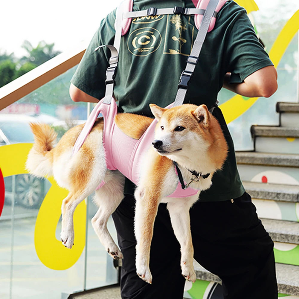 Thumbnail 3 - #1 Trending Puppy Backpacks Right Now