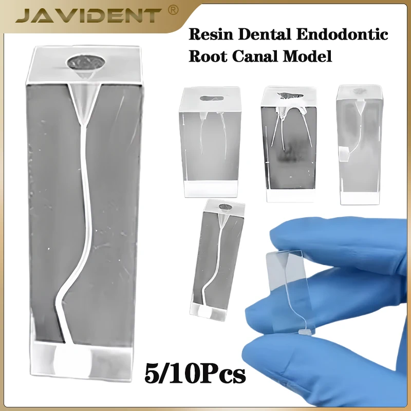 Dental Endo Teeth Model Root Canal Practice RCT Training Block Pulp Cavity Endodontic Clear DemoDentistry Student Training Demo