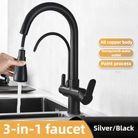 Commercial Kitchen Faucet with Dual Function Pull Down Sprayer, 3 in 1 Water Filter Purifier Faucet, Mixing Faucet with Hoses