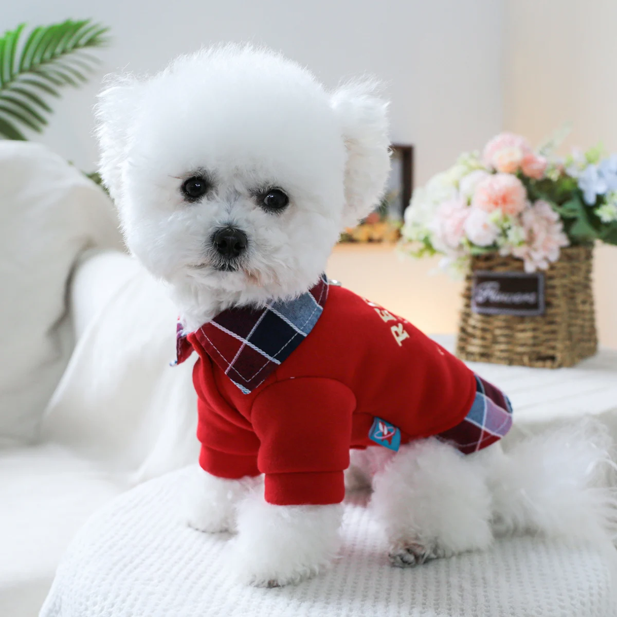 1PC Pet Clothing Spring and Autumn Velvet Red Camera Fake Two Piece Jacket Suitable for Small and Medium sized Dogs