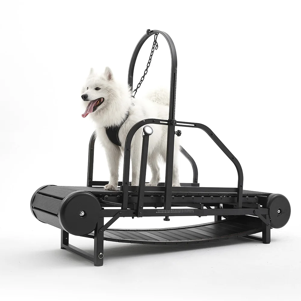 Best Sellers Pet Dog Treadmill for Large Dogs Canine Running Machine for Pet Health Fitness Running Exercise Equipment Slatmill