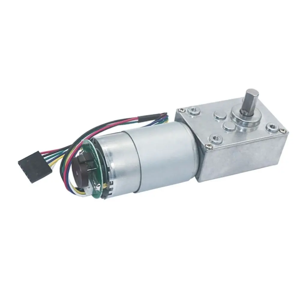 

5840-555B 24V Mini DC Worm Gear Motor With Hall Sensor Encoder 12V DC Motor with metal worm gearbox reducer reductor motor