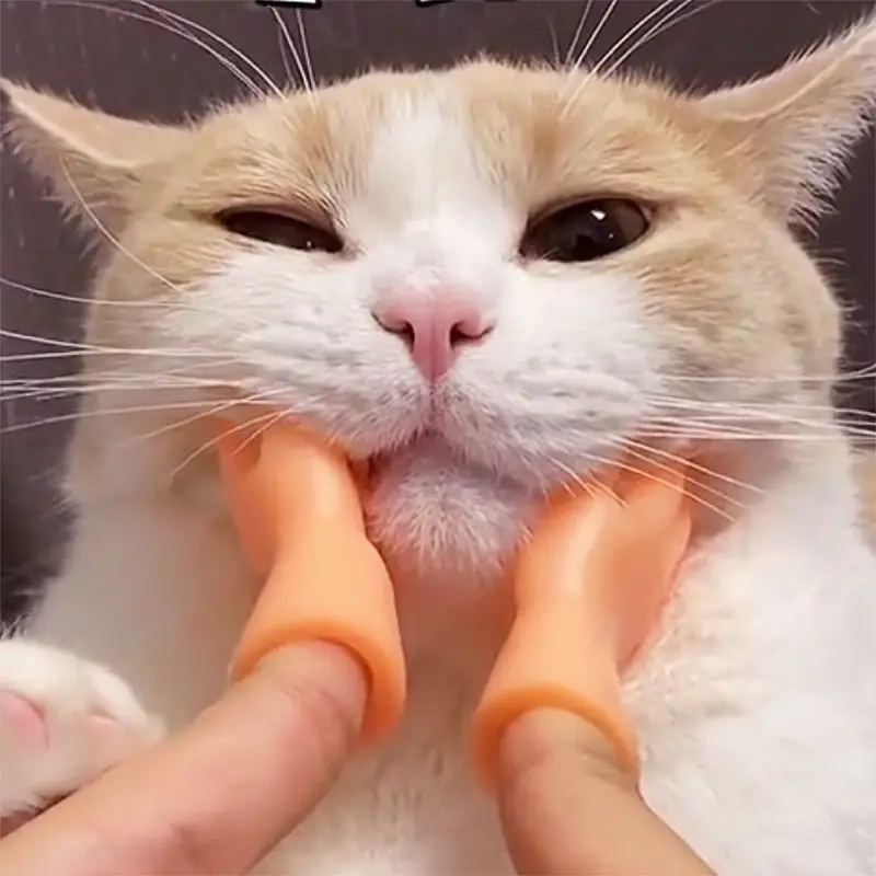 Mini-Fingerhandschuhe, kleine Handschuhe für Katzen, Mini-Finger-Haustierspielzeug aus Silikon, Puppenshows, Komödieufführungen, Partygeschenke