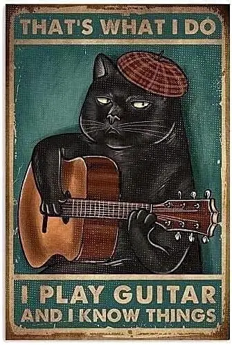 Vintage That'S What I Do I Play Guitar And I Know Things Black Cat Aluminium Metal Tin Sign 8x12 Inch Home Poster Bar Pub De