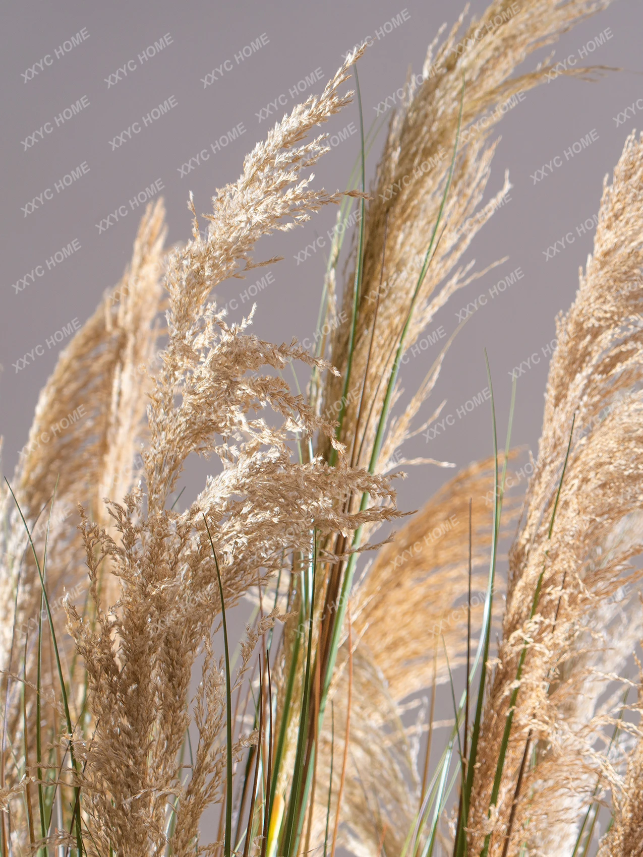 Air-Dried Natural Reed Grass Simulation Fake Bouquet Fake Trees Greenery Furnishings Floor Ornaments