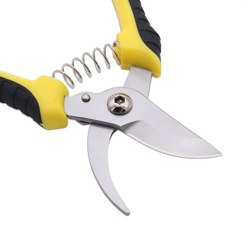 ตรงหัว Bypass Pruning กรรไกร Crane สแตนเลสสวนเครื่องมือ PP + TPR Antiskid จับกรรไกรสำหรับ Bonsai พืชดอกไม้