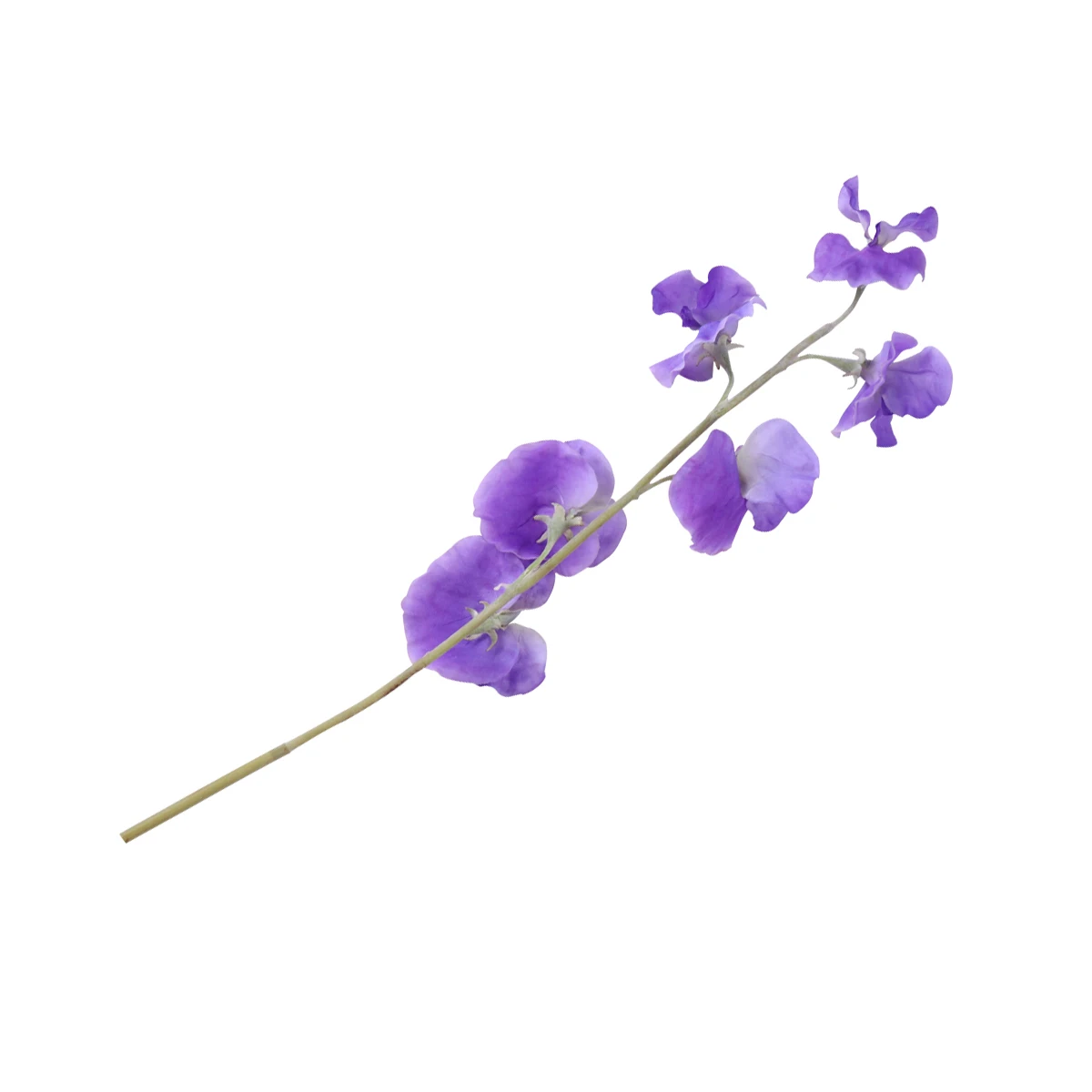 

Artificial Simulated Pea Blossom Decorative Flowers for Home Wedding Fake Flower Ornament Rustic Farmhouse
