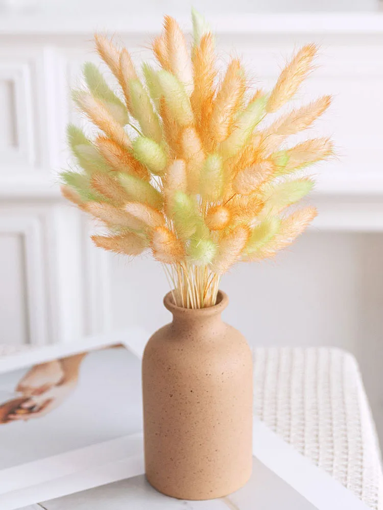 80 pièces dégradé de couleur naturel queue de lapin herbe fleurs séchées maison chambre Vase ornement réel Lagurus Ovatus plantes décor de mariage