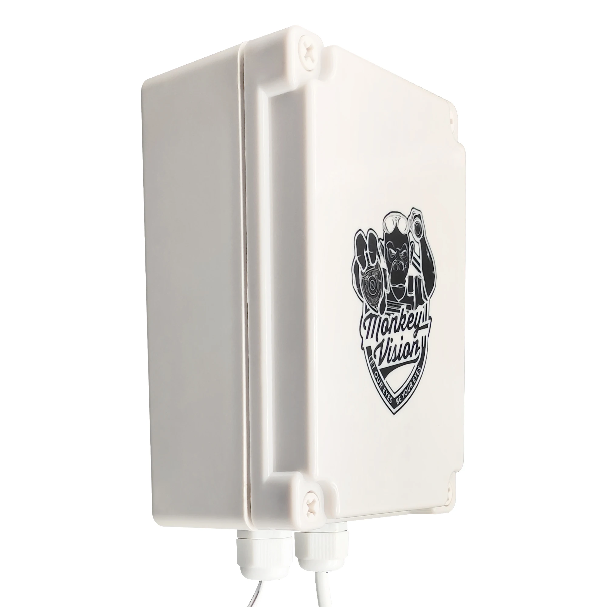 DC 12V2A Power Adapte charger Supply Output Interface 5.5*2.1mm With Security Outoor Waterproof Box Cartoon Pattern 3M AU Plug