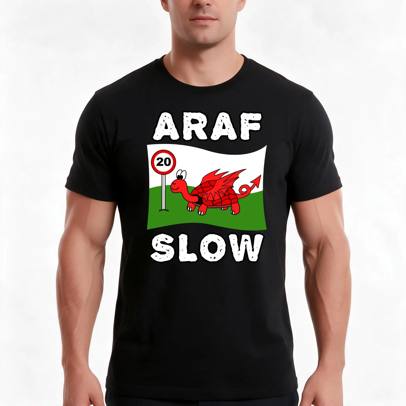 Wales 20mph Speed Limit, Welsh Dragon Tortoise Funny T-Shirt, Summer Casual Cotton Tee, Oversized Streetwear Tops, 100% Cotton
