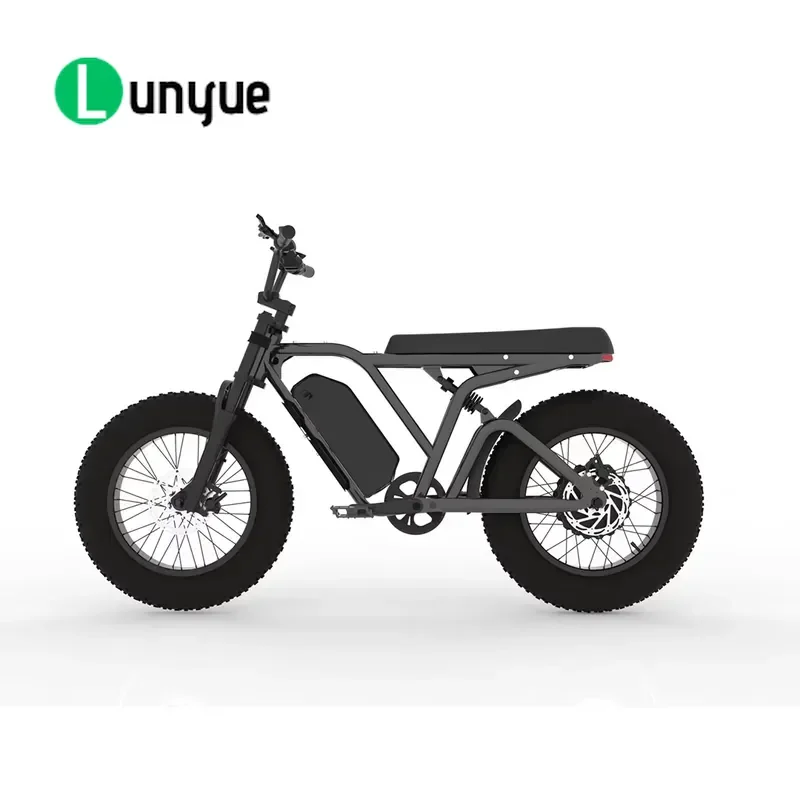 Upgrade Low Seat Electric Mountain Bicycle with High Performance 750w Motor Full Suspension Max Speed 45KM/H