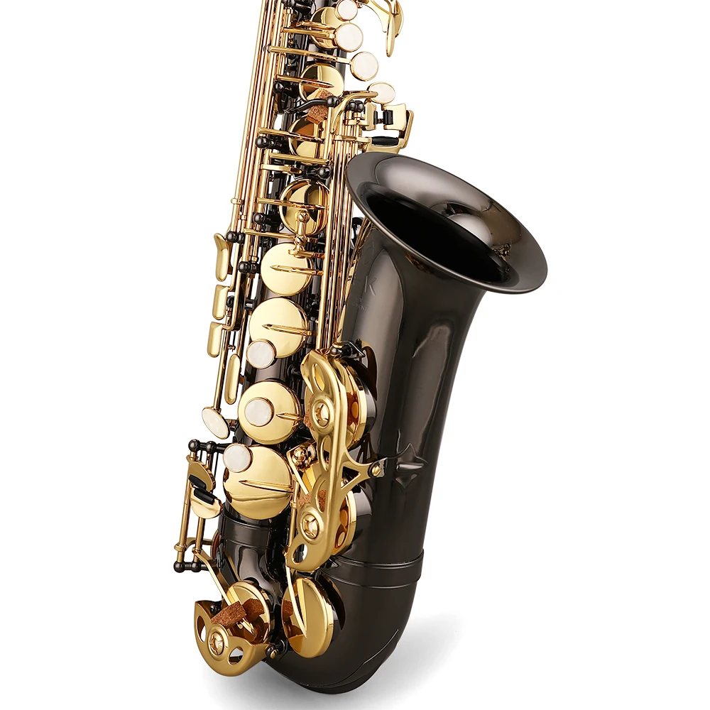 

G3BK Beginner Grade Alto Saxophone in Black Gold Finish with EB Tone for Successful Examinations