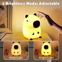 Capybara Silicone Night Light For Children USB Rechargeable Kapibara Anime Lamp For Cute Room Bedside Table Decor New Year Gift