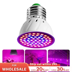 Full Spectrum Plant Grow Light, Phyto Lamps, Growing Bulb for Greenhouse Hydroponics Growth, E27, 60LEDs, 220V