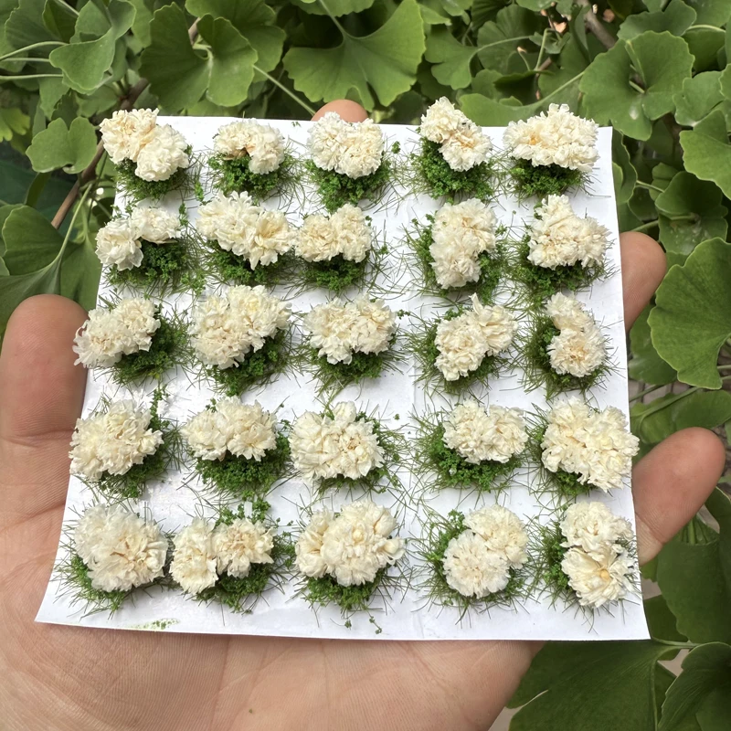 25 Stück 10 mm Miniatur-Blumencluster-Modell, statische Grasbüschel, Sandtisch-Layout, Szene, Modell, Mikro-Landschaftsdekoration, DIY-Handwerk