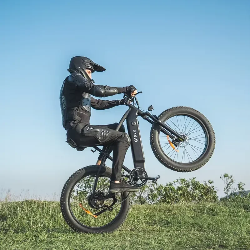 750W 48V Lithium Battery Electric Mountain Bike with Aluminum Alloy Frame Front Suspension High Speed & Rechargeable Fatbike