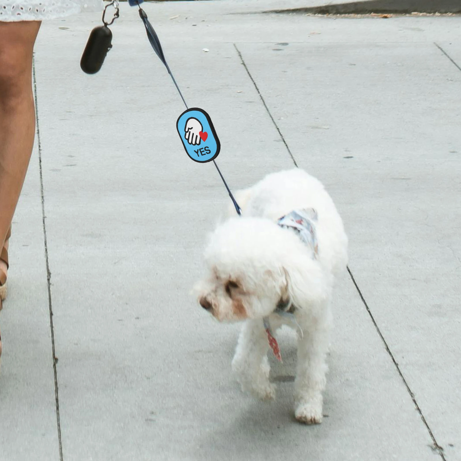 Pet Leash Dog Stickers Dogs Warning Signs Friendly Patch Notice Collar Identification Tags