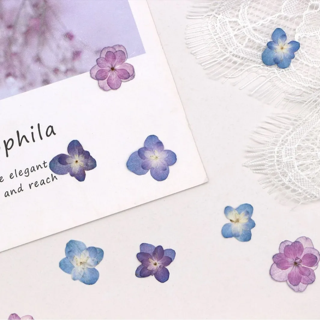 60Pcs Mini Double-Flowered Hydrangea Dried Flowers Pressed Flowers DIY Materials Candles Bookmarks Photo Frames Children's Crafts Pressed Flowers Table Lamps Nail Art Specimens view 5