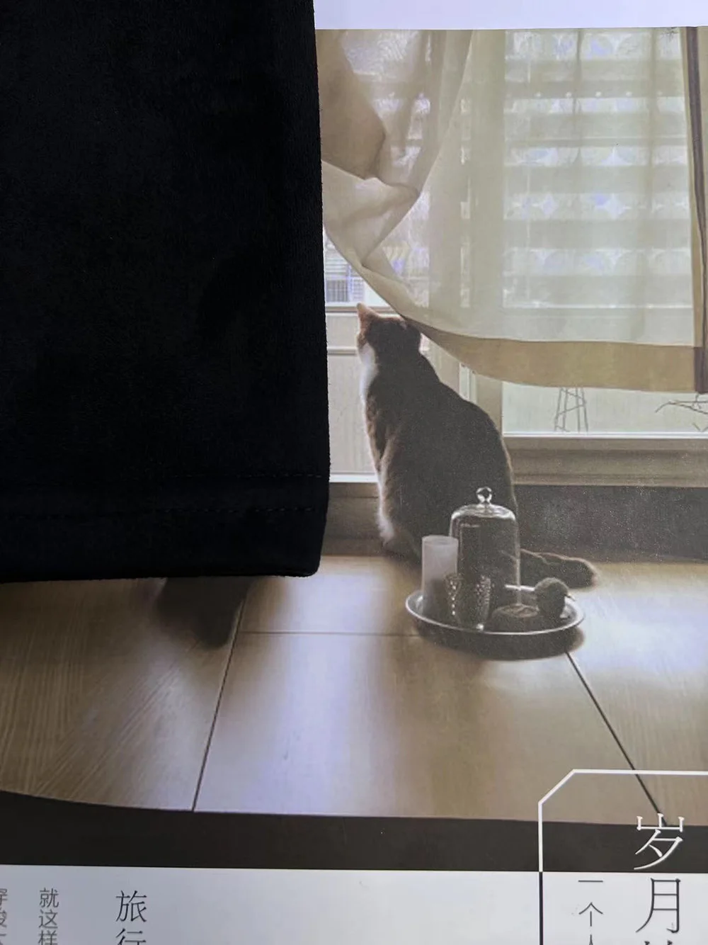 معطف مخملي نسائي ، جلد الغزال المقلد بلون نقي ، أوروبا والولايات المتحدة ، عابر للحدود ، الخريف ، جديد ،