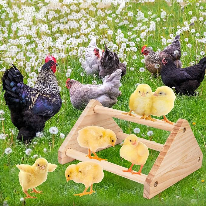 Chicken Perch Chick Jungle Gym Parrots Macaws Hens Training Perch Toys Ideal Perch Bars for Chicks and Parrots